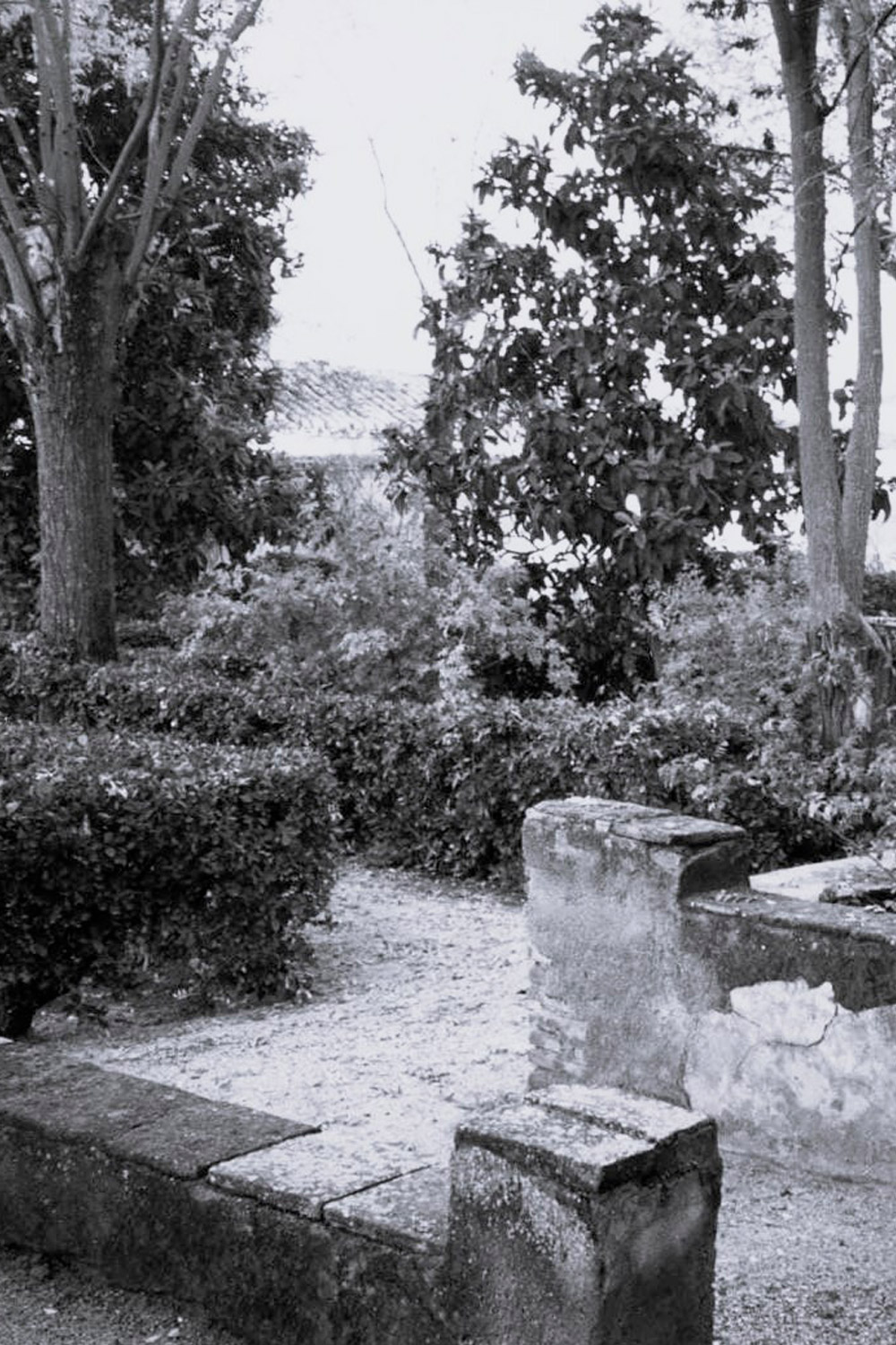 Historia Palacio López de Sagredo